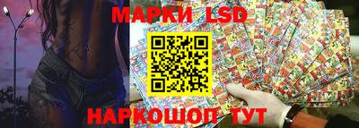 Альфа ПВП Ставрополь