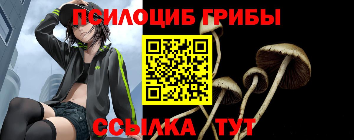 Псилоцибиновые грибы мухоморы Орск